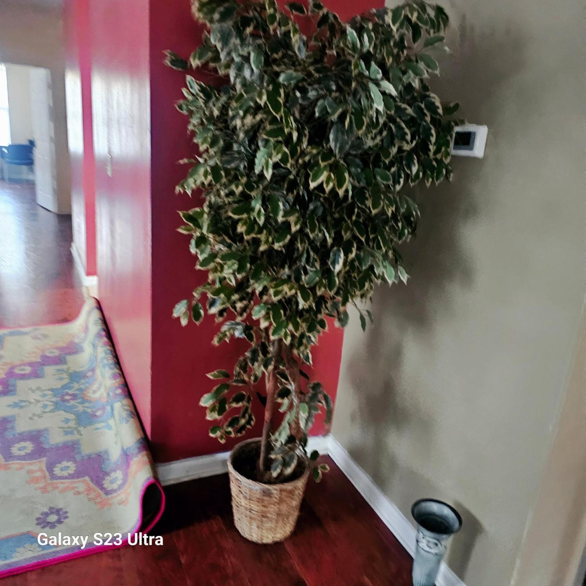 Divine Villa & Resorts Guest House - 283 Lehigh Ave Newark Eksteriør bilde